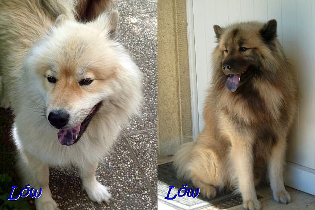 2020 - Bella Luna und Dwix 2020 - Bella Luna und Dwix