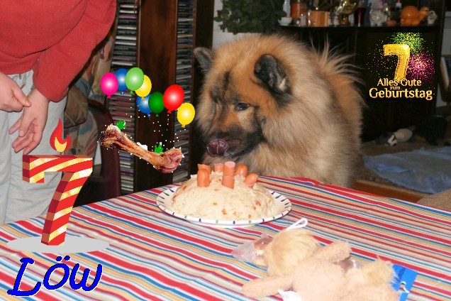 11.12.2021 - Dwix 7. Geburtstag