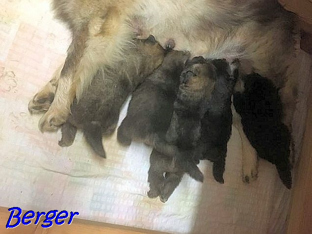 27.11.2021 - Nachschlag bei Mama 27.11.2021 - Nachschlag bei Mama