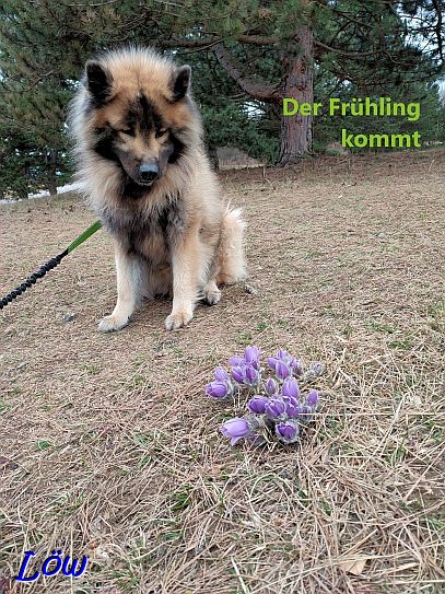 12.3.2023 - Der Frühling kommt