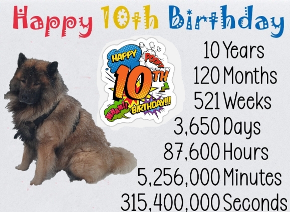 11.12.2024 - Dwix 10. Geburtstag