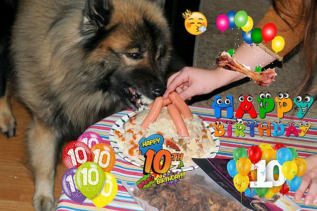 11.12.2024 - Dwix 10. Geburtstag
