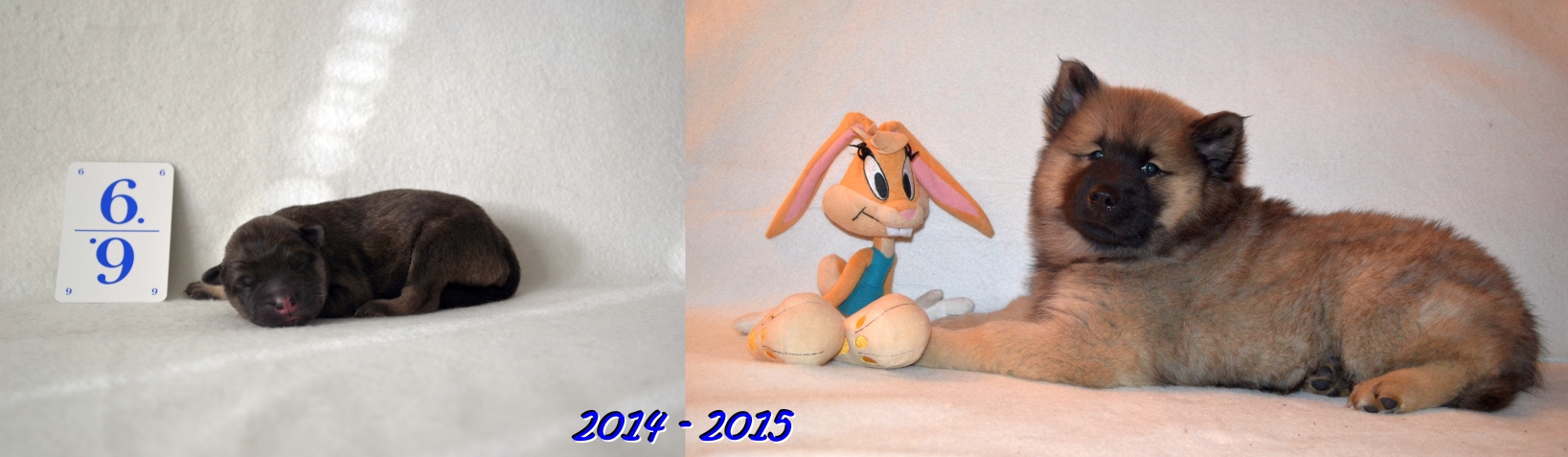 2014-2015  - Start ins Leben