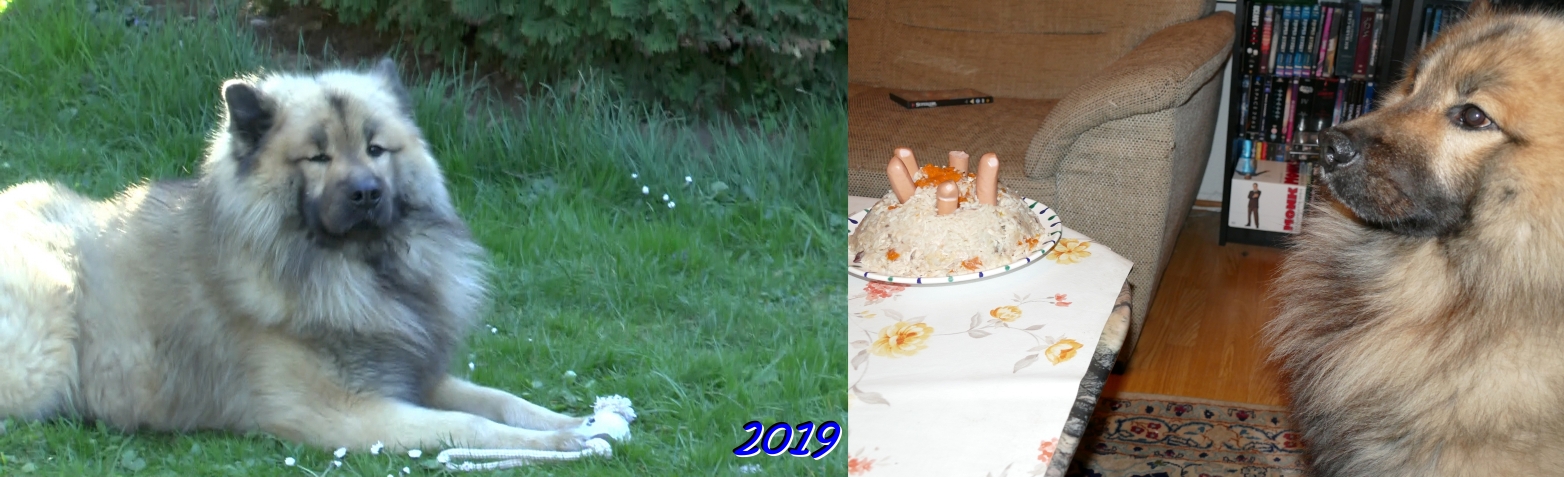 2019  - Das f&uuml;nfte Jahr