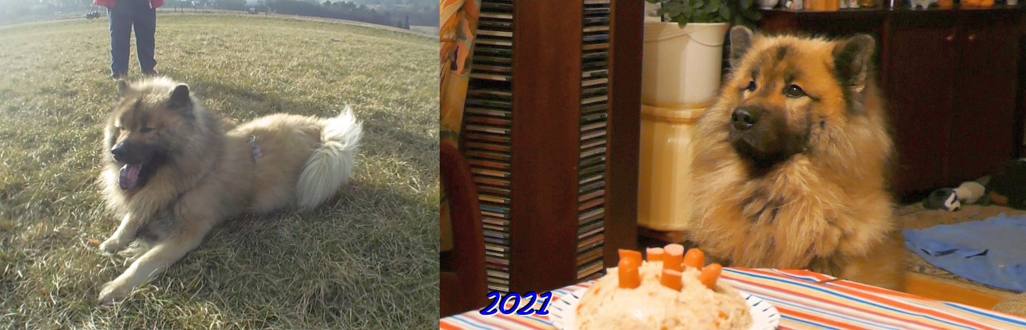 2021  - Das siebente Jahr