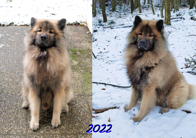 2022  - Das achte Jahr