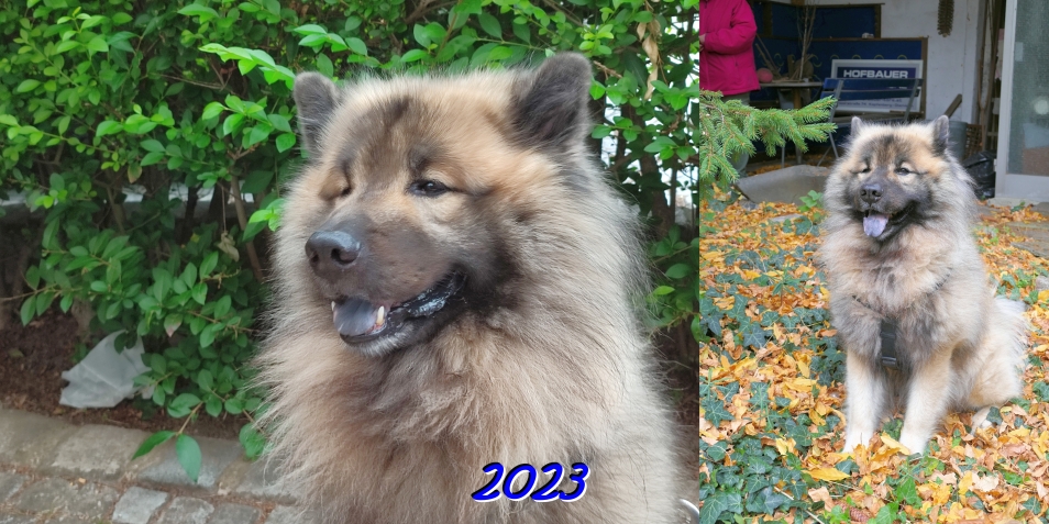 2023  - Das neunte Jahr