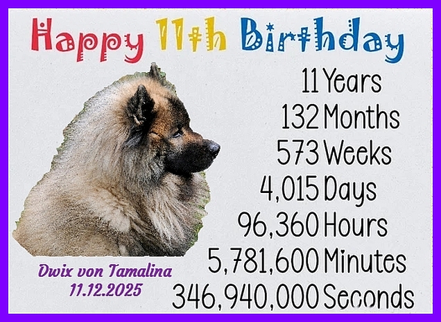 11.12.2025 - Dwix 11. Geburtstag