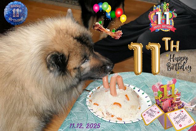 11.12.2025 - Dwix 11. Geburtstag