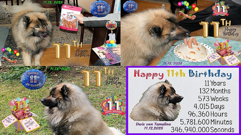 11.12.2025 Dwix hat Geburtstag