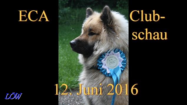 ECA Clubschau - 12.6.2016 ECA Clubschau - 12.6.2016