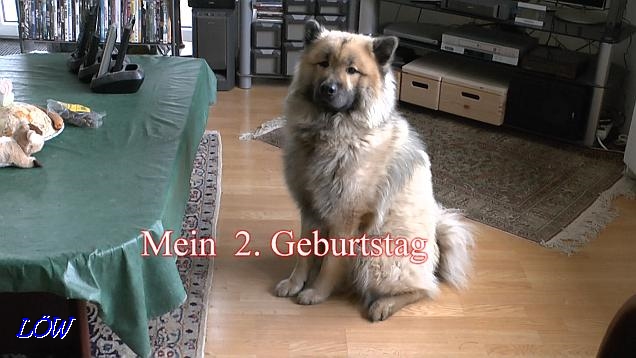 2. Geburtstag - 11.12.2016