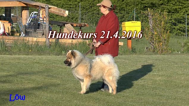 Hundekurs - 21.4.2016