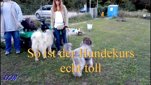 Hundekurs - September 2016