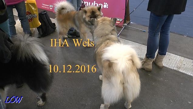 IHA Wels - 10.12.2016 IHA Wels - 10.12.2016