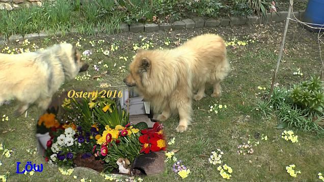 Ostern - 27.3.2016 Ostern - 27.3.2016