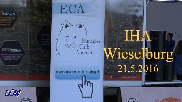 IHA Wieselburg - 21.5.2016 IHA Wieselburg - 21.5.2016