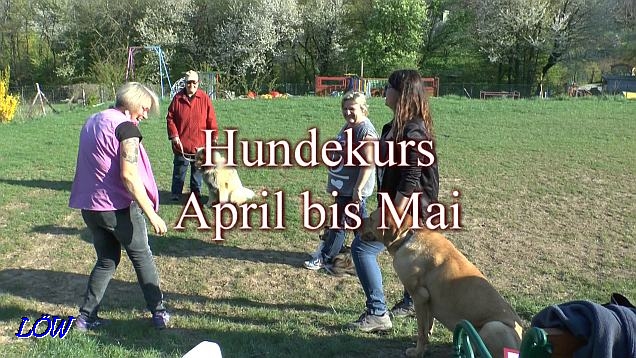 Hundekurs - April/Mai 2017