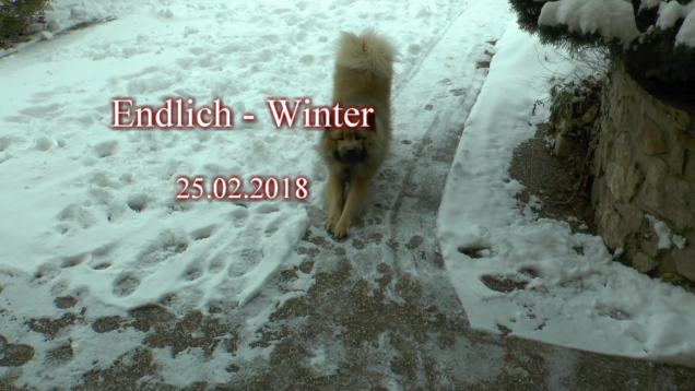 Winter - Februar 2018