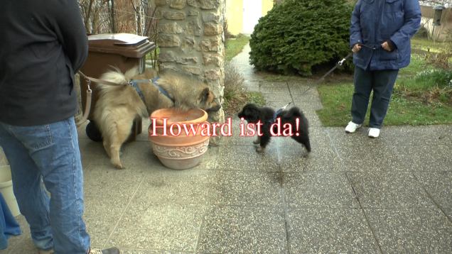 Howard ist da