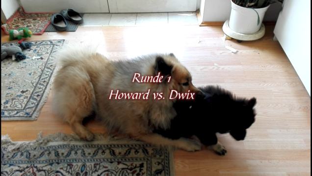 Runde 1 - Howard vs. Dwix