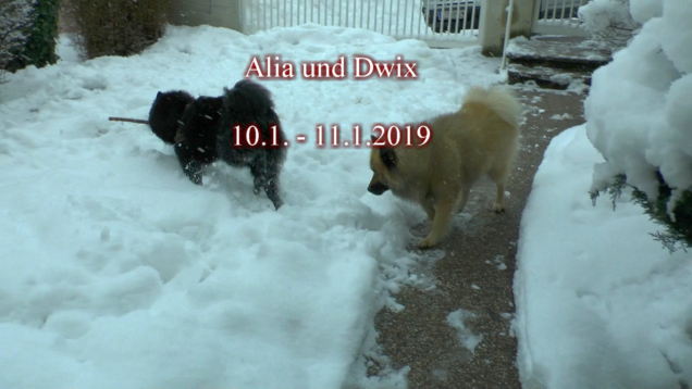 Alia und Dwix 2019