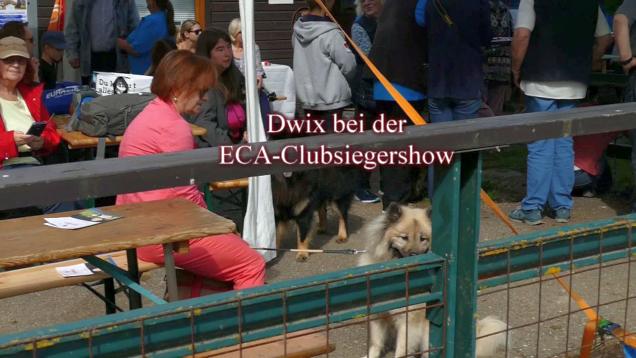 19.5.2019 - Dwix bei der ECA-Clubsiegershow