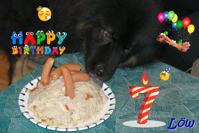 25.1.2025 - Howard's 7. Geburtstag