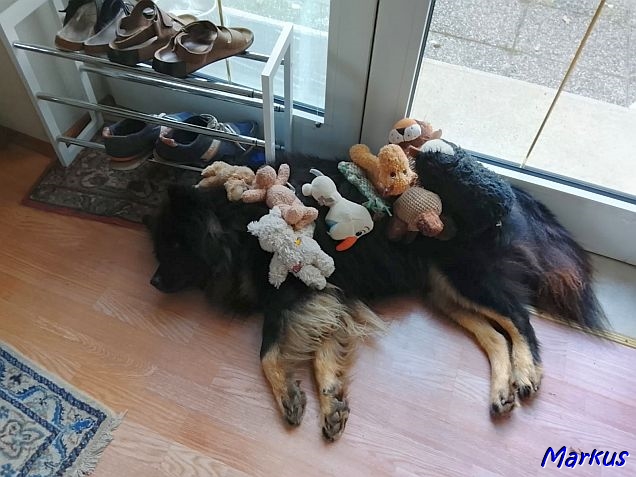 12.11.2025 - Mit Pl&uuml;sch begraben