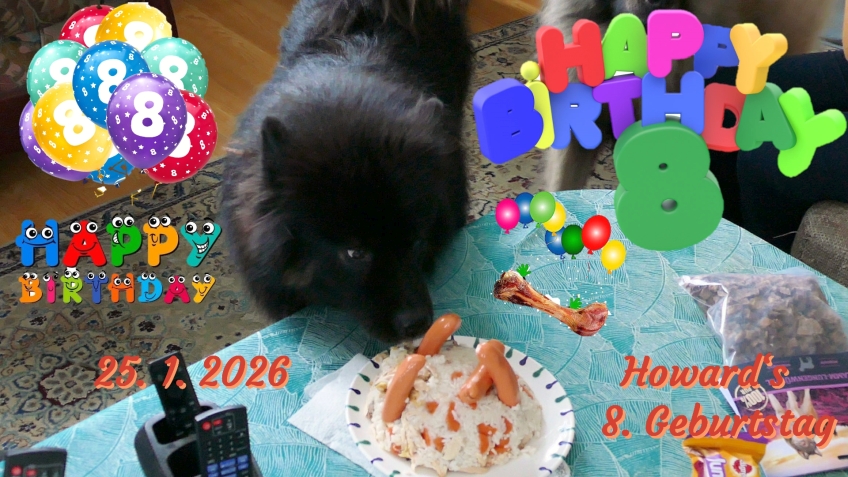 25.1.2026 - Howard's 8. Geburtstag