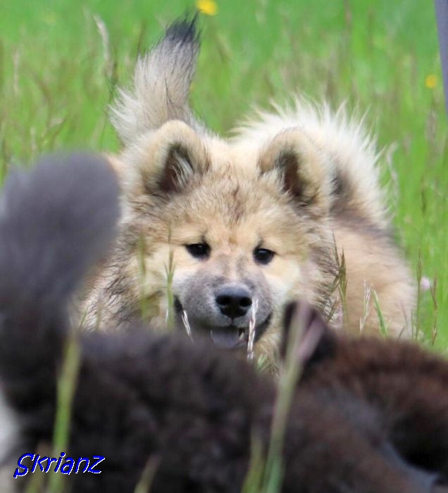 22.5.2021 - Donut und Dante 22.5.2021 - Donut und Dante