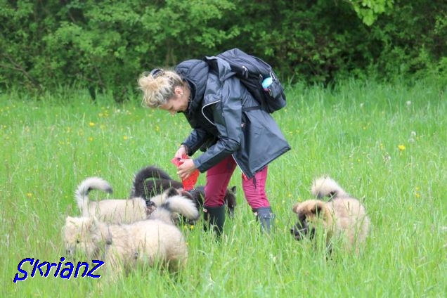 22.5.2021 - Sonja unter Wölfen 22.5.2021 - Sonja unter Wölfen