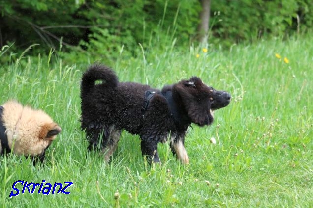 22.5.2021 - Auch Donut trocknet sich