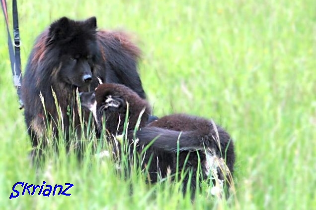 22.5.2021 - Donut und Papa  