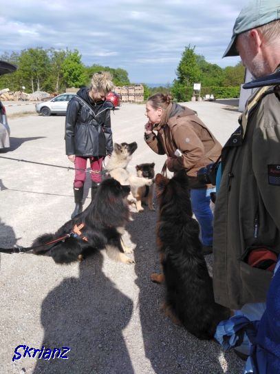 22.5.2021 -  Susi ist mit Kira  auch da