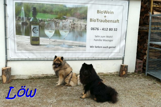 22.5.2021 - Dwix und Howie warten am Parkplatz