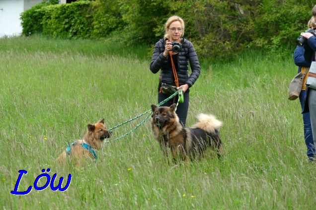 22.5.2021 - Claudia mit Aria und Charisma 22.5.2021 - Claudia mit Aria und Charisma