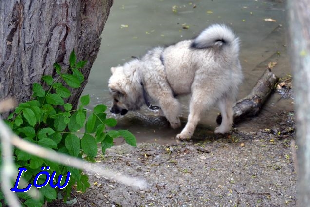22.5.2021 - Dante hat Durst 22.5.2021 - Dante hat Durst
