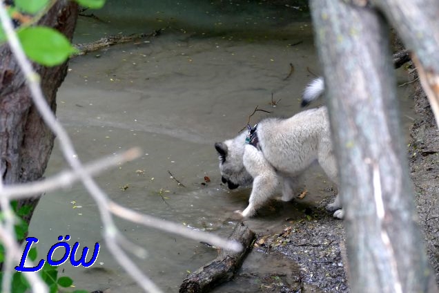 22.5.2021 - Auch Koda hat Durst