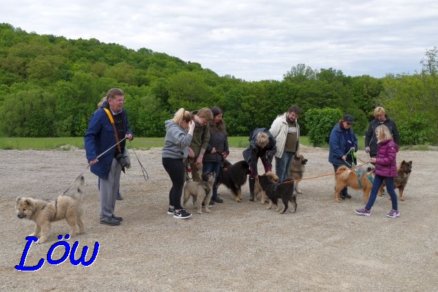 22.5.2021 - Ein Gruppenfoto entsteht