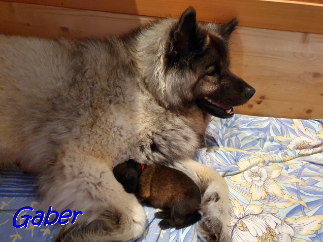 29.9.2020 - Mein Baby 29.9.2020 - Mein Baby