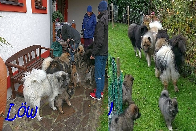Besuch beim Howard's und Faye's Nachwuchs - Bilder: 2020