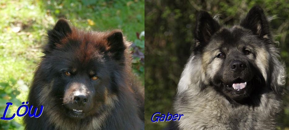 7.2020 - Howard und Felisha Faye 7.2020 - Howard und Felisha Faye