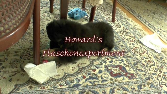 Howard und die Flasche