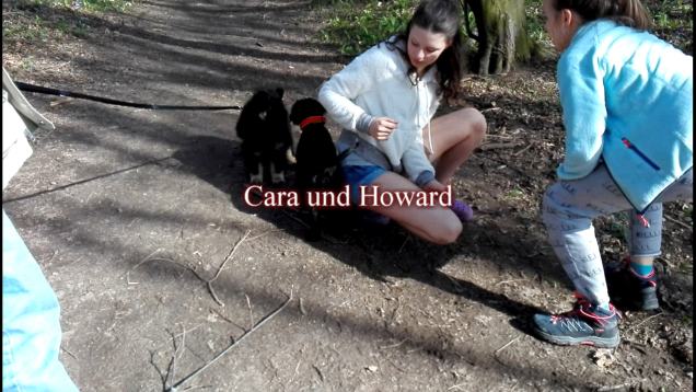 Howard trifft auf Cara
