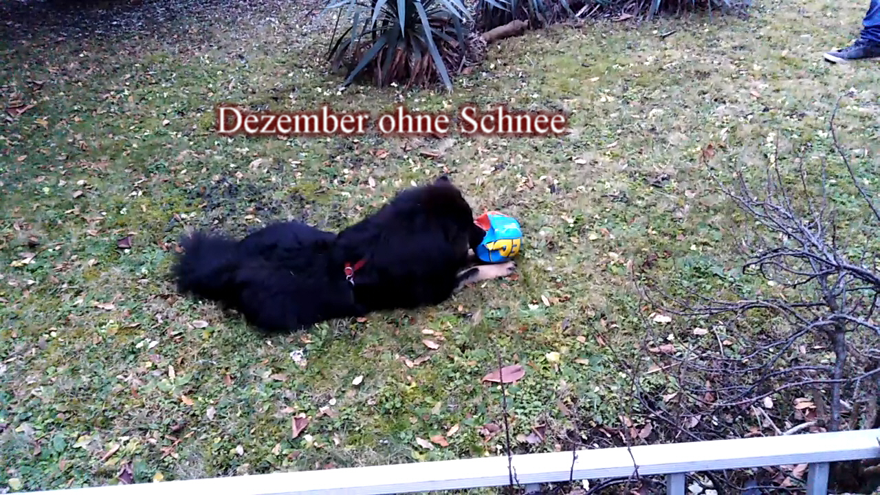 Schneelos zu Weihnachten