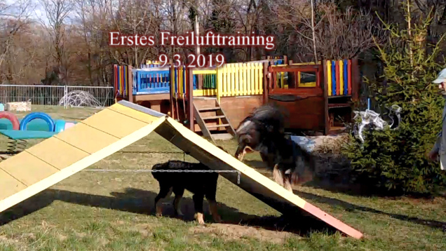 3.9.2019 - Erster Hundekurs im Freien