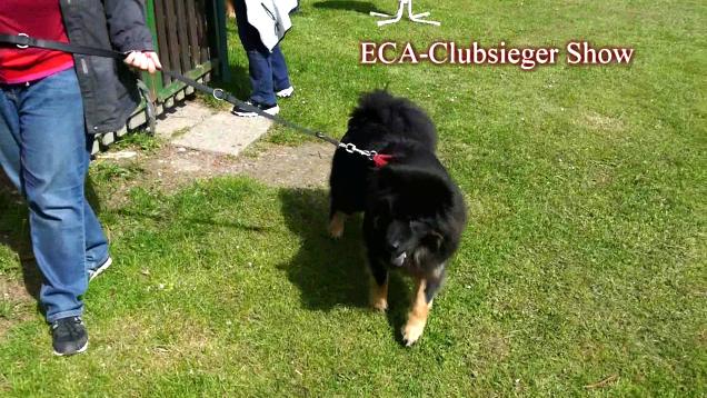 19.5.2019 - Howard bei der ECA-Clubsiegershow