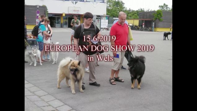 15.6.2019 - Dwix und Howard auf der Eurodog