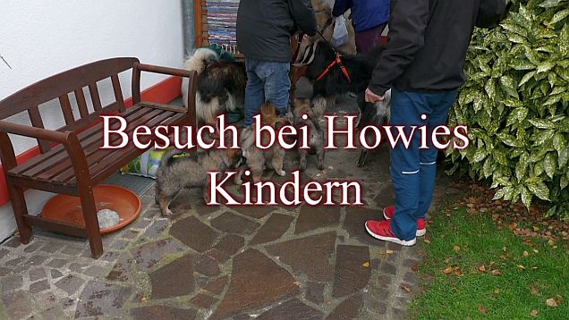 15.11.2020 - Besuch bei Howards Kindern